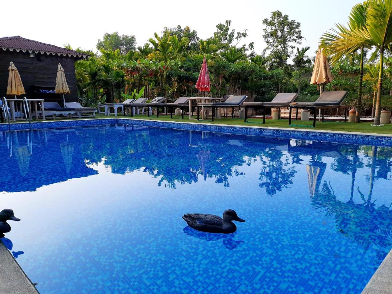 Go Green Spice & Eco Resort Cavelossim Exterior foto